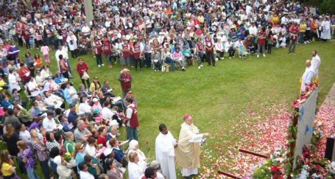 Mitra lança 33ª Romaria de Guadalupe