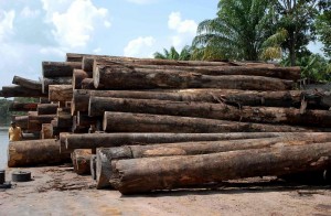 EMBARQUE de madeira através do Porto de Pelotas para Guaíba, com mínimo impacto sobre a malha urbana