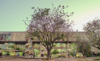 PROJETO DE ESTUDANTES : Relação entre a edificação e o ser vivo