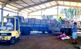 RESÍDUOS SÓLIDOS : Cooperativas de Reciclagem tem primeira comercialização