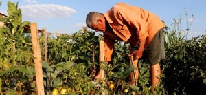 Em hipótese alguma os agricultores devem deixar as dívidas vencerem. Informações foram prestadas durante reunião promovida pela Secretaria Estadual de Agricultura com prefeitos da Azonasul