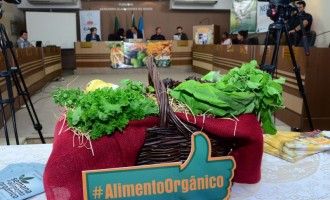 AGROECOLOGIA : Pelotas é destaque na produção e consumo de alimento orgânico