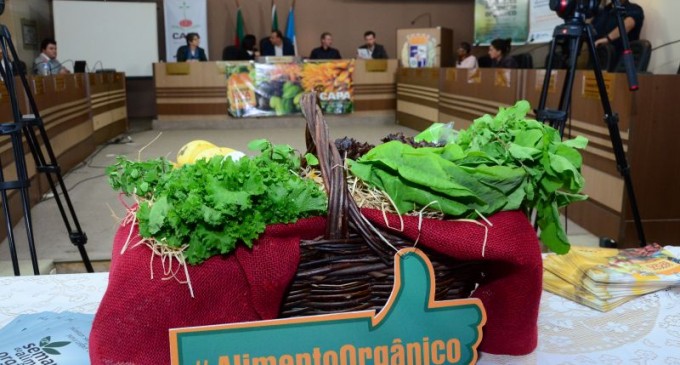 AGROECOLOGIA : Pelotas é destaque na produção e consumo de alimento orgânico