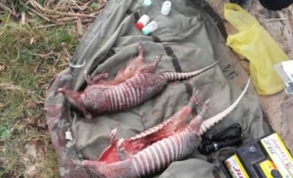 Patram da BM flagra pesca e caça ilegal