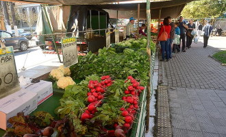 Feira no Parque completa um ano