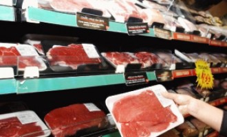 AGRONEGÓCIO :  Fórum discutirá alternativas para a produção de carne de qualidade