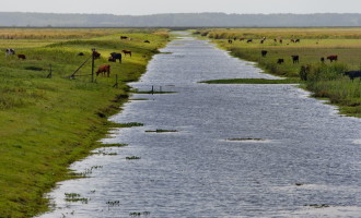 Museu de Ciências Naturais Carlos Ritter recebe exposição sobre o Pampa Gaúcho