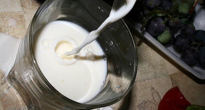 ESTADO : Ano termina com preço do leite estabilizado