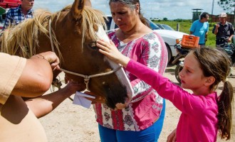 Projeto de doação de cavalos continuará este ano