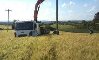 ENERGIA : CEEE Distribuição conclui rede que beneficia clientes de Canguçu e Piratini