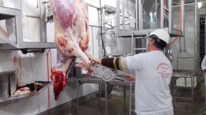 EM seis meses foram inspecionados 1.260.573 quilos de carne