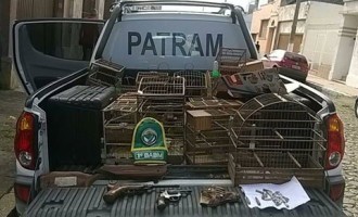 Comércio ilegal de aves silvestres