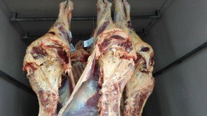 FOI apreendido 850 kg de carne imprópria ao consumo Foto: Divulgação/Patram-BM 
