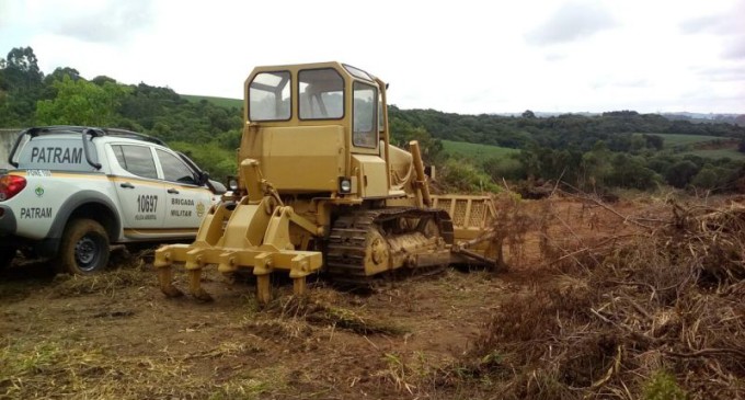 PATRAM combate desmatamento no Monte Bonito
