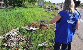 GESTÃO AMBIENTAL  :  Vistoria na BR-116 combate criadouros do mosquito da dengue