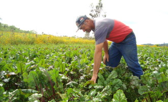 AGRICULTURA FAMILIAR :  Embrapa realiza Seminário de Inovação