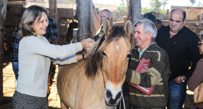 Mais nove cavalos da Hospedaria são adotados