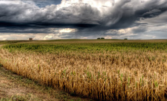 AGRICULTURA GAÚCHA : Chefe da Embrapa descreve impactos das mudanças climáticas na Região