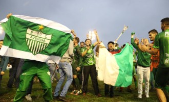 ACESSO : São Luiz e Avenida estão de volta à primeira divisão