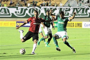 Rodrigo Silva deve ficar com a vaga de Lincom: Brasil quer interromper sequência ruim como visitante Foto: Carlos Insaurriaga/Assessoria GEB 