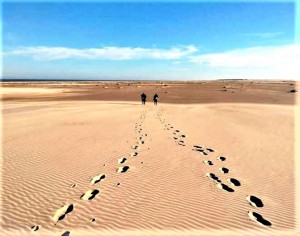 Paisagem exuberante no desafio que exigiu superação para enfrentar 260 quilômetros