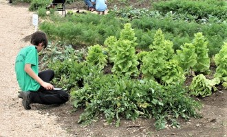 Município terá primeira escola agrícola