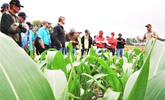 Agricultores poderão voltar a solicitar empréstimos com notas de 180 dias