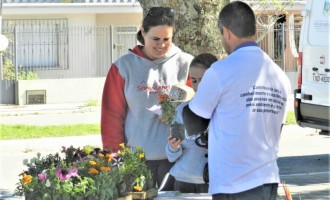 MEIO AMBIENTE  :Educação através da ação consciente