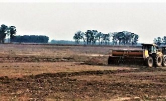 Plantio de arroz é iniciado em Pelotas