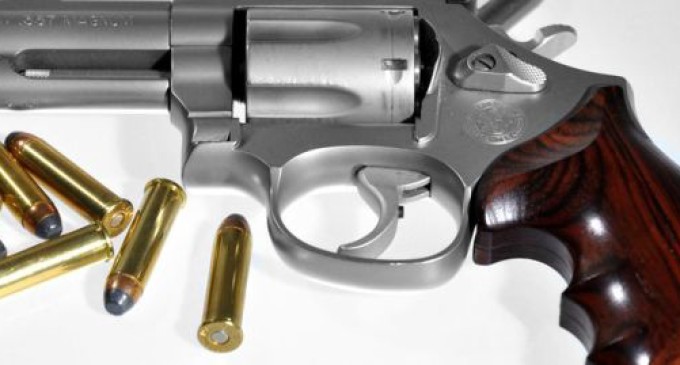 PROJETO DE LEI : Porte Rural de armas aprovado na Comissão de Agricultura