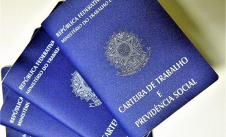 Dados do emprego formal de Setembro são positivos em Pelotas