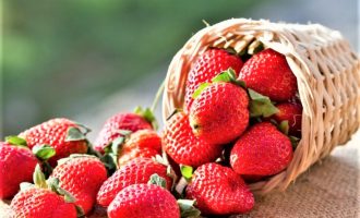 7ª Festa Municipal do Morango já tem programação definida