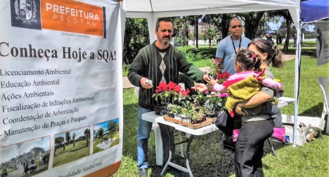 Evento realiza troca de lixo eletrônico por uma muda de flores