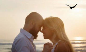 FEIRA DO LIVRO : Literatura que emociona e humaniza