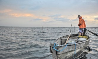 PESCA : Período de defeso preserva a biodiversidade