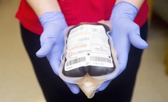 Hemocentro faz apelo por doações de sangue “O” e “A” negativos