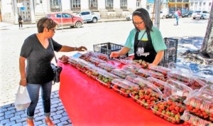 FRUTA está sendo vendida em feiras itinerantes