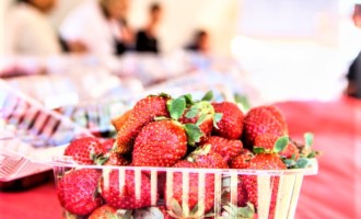 Feiras do Pêssego e do Morango são prorrogadas até sábado