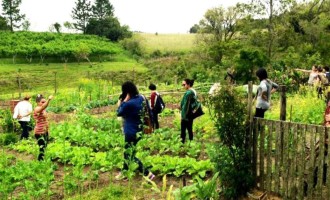 Três anos da Feira Virtual Bem da Terra
