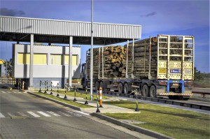 MOVIMENTAÇÃO atingiu 662 mil toneladas de madeiras