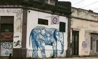 EXPOSIÇÃO : Desenhos e aquarelas no “Kalanchoe”