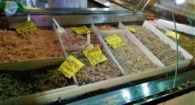 Confira os preços do camarão em Pelotas
