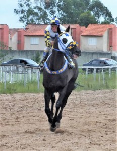 July, July, July é favorito para conquista o bicampeonato  Foto: Álvaro Guimarães/DM  