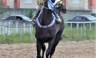 GP CIDADE DE RIO GRANDE :  July, July, July é o favorito