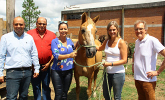 Quinze cavalos são adotados em evento realizado na Hospedaria