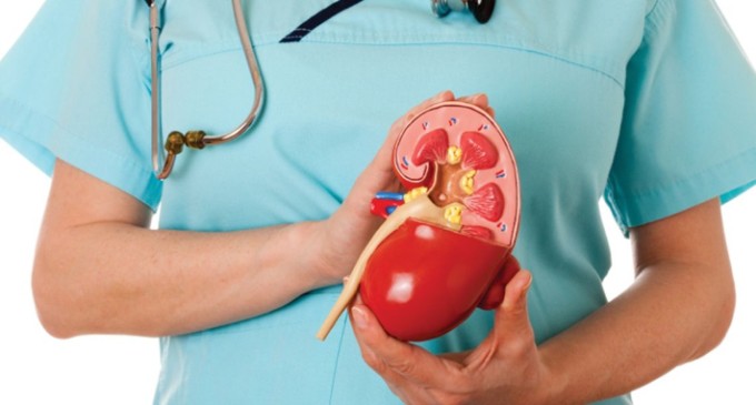 Saúde renal deve fazer parte do check up anual
