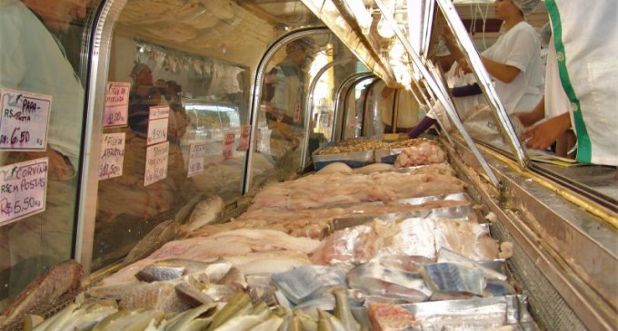 5ª FEIRA DO PEIXE :  Comercializadas mais de 30 toneladas de pescado