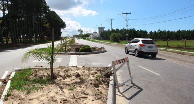 Obras da nova rótula da Adolfo Fetter são retomadas