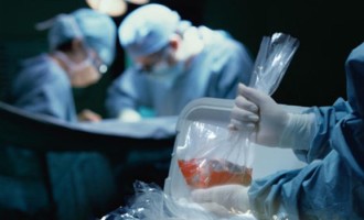 Transplante de órgãos ameaçado pela indústria do favorecimento ilícito