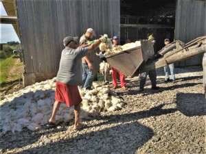 PREJUIZO até esta terça-feira chegava a R$ 600 mil 